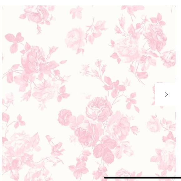 Meet your Posher, Paloma - Picture 1 of 1